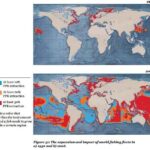 overfishing chart