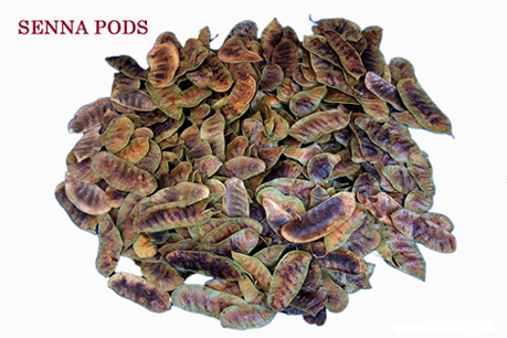 Senna Pods