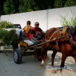 horse cart