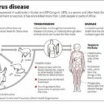 ebola virus disease